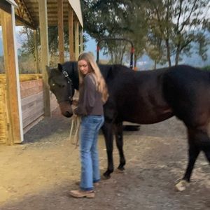 Meet your Posher, Katie